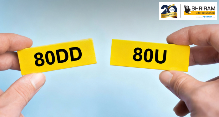 What is the Difference Between 80DD and 80U?