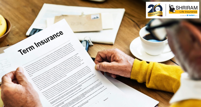 advantages-and-disadvantages-of-term-life-insurance-banner